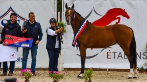 découvrez comment choisir le cheval idéal avec une selle française adaptée pour un confort et une performance optimaux en équitation.