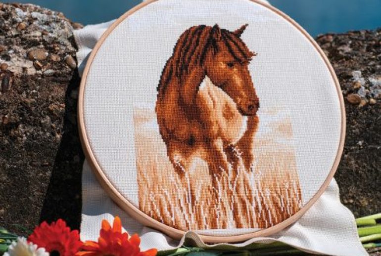 découvrez les meilleures techniques et astuces pour la broderie cheval, et créez des œuvres uniques et détaillées mettant en valeur la beauté équine.