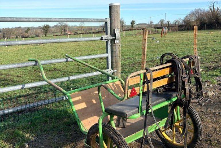 découvrez notre calèche 2 roues tirée par cheval, idéale pour des promenades élégantes et authentiques en pleine nature ou en ville.