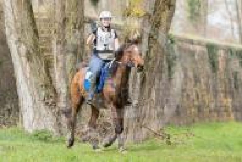 découvrez comment choisir la caméra idéale pour filmer vos chevaux en toute simplicité et capturer leurs moindres mouvements avec qualité.