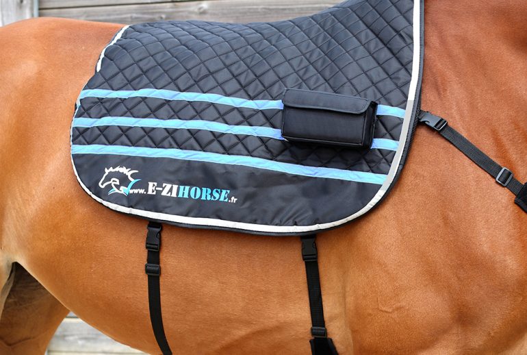 découvrez notre guide complet et nos conseils pratiques pour choisir et utiliser une couverture massante pour chevaux, assurant confort et bien-être à votre compagnon.