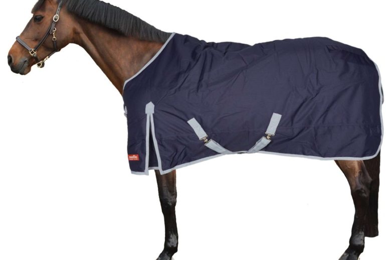 profitez de notre destockage exceptionnel sur les couvertures pour chevaux. qualité, confort et protection à prix réduits. ne manquez pas nos offres limitées !